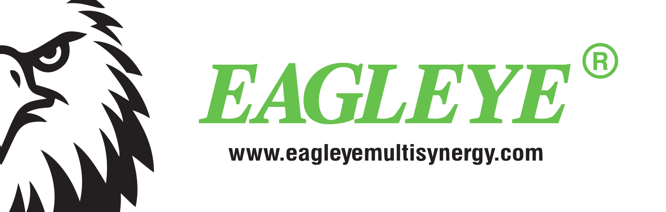 EagleEye_Multisynergy_logo