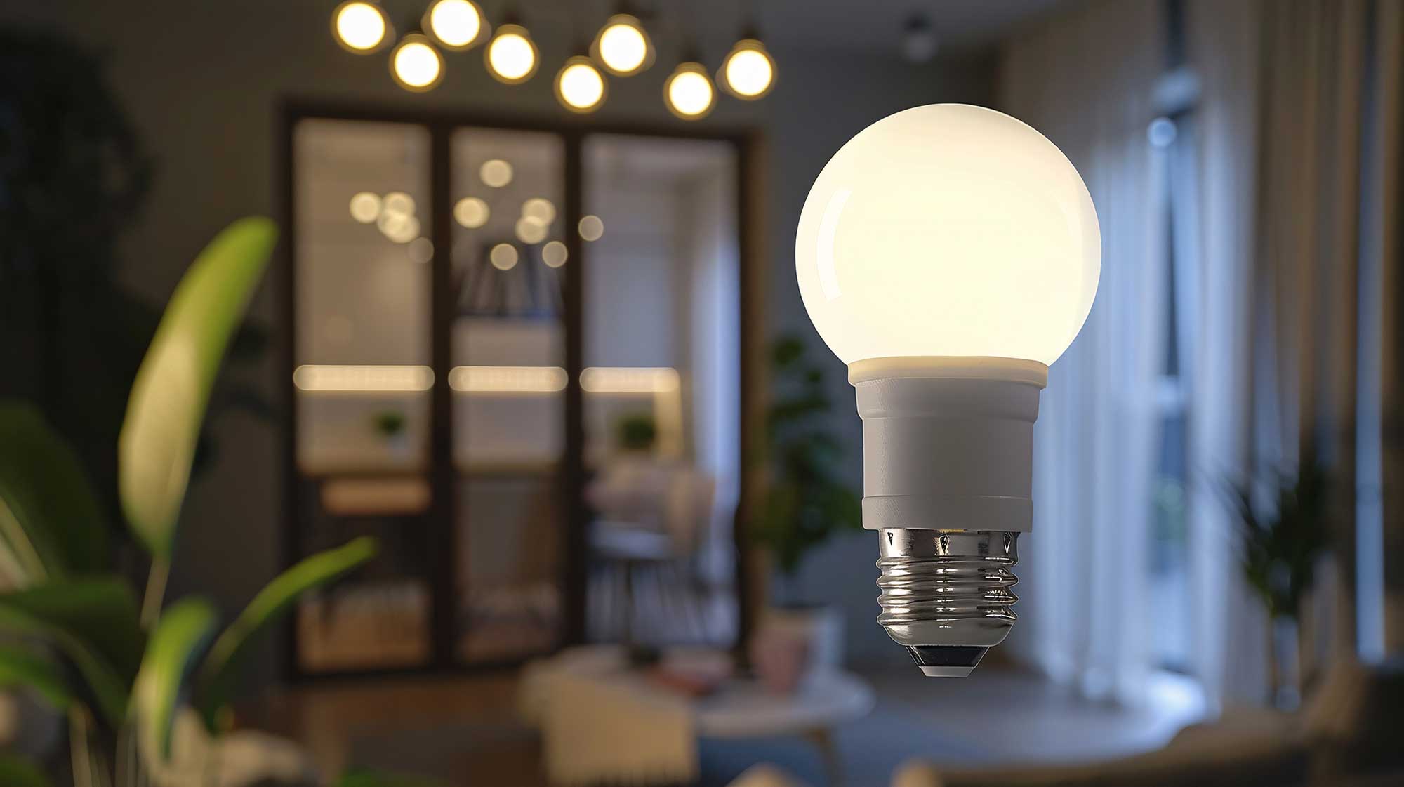 Sustainability & Cost Savings