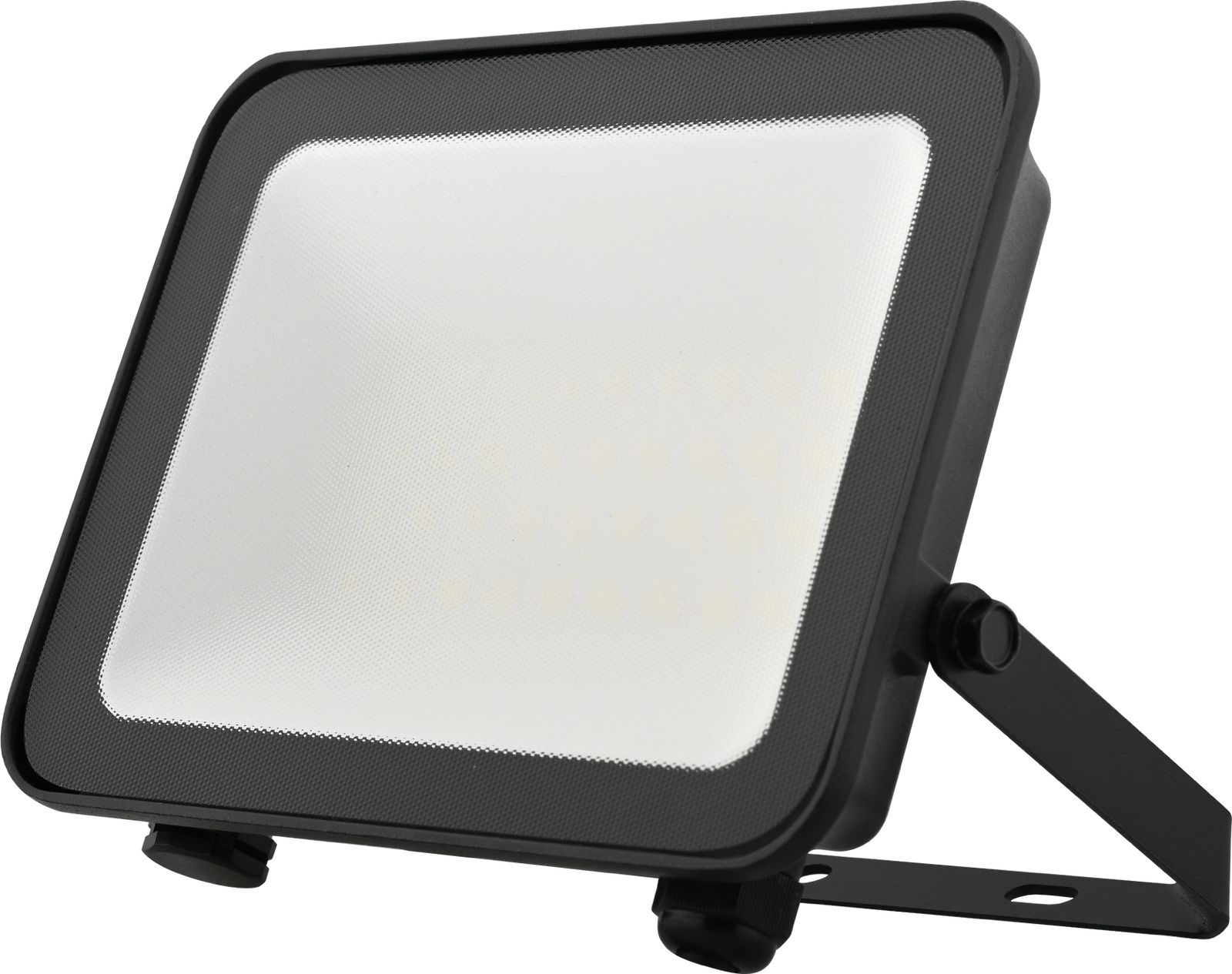 30W Eagleye FloodLight